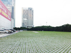 琶洲国际采购中心植草砖25000平方米